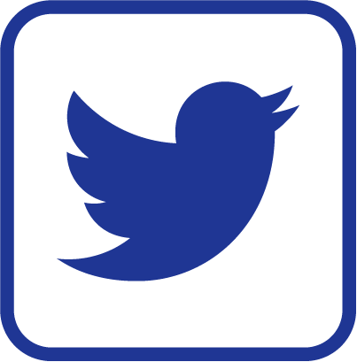 Twitter Logo rodapé